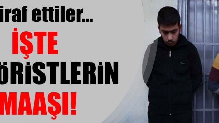 Afrin'de yakalanan teröristlerden maaş itirafı