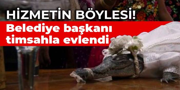 Hizmetin böylesi! Belediye başkanı timsahla evlendi