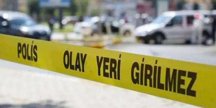 Ordu'da 'gürültü tartışması': Baba ile oğlu öldürüldü