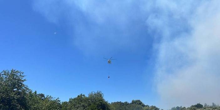 Beykoz'daki orman yangınıyla ilgili bir gözaltı