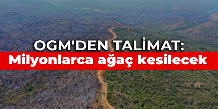 OGM'den talimat: Milyonlarca ağaç kesilecek