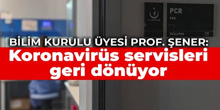 Bilim Kurulu Üyesi Prof. Şener: Koronavirüs servisleri geri dönüyor