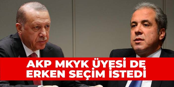 AKP MKYK Üyesi de erken seçim istedi