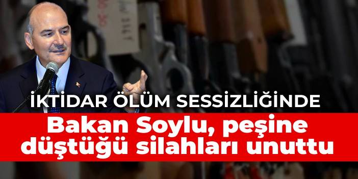 Bakan Soylu, peşine düştüğü silahları unuttu