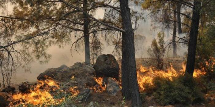 Muğla Valiliği'nden 'orman yangını' uyarısı