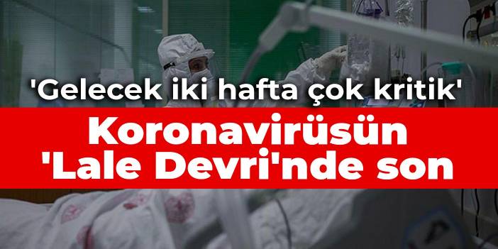 Koronavirüsün 'Lale Devri'nde son: Gelecek iki hafta çok kritik