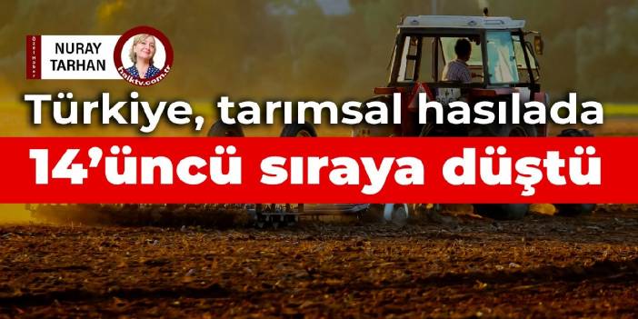 Türkiye, tarımsal hasılada 14’üncü sıraya düştü