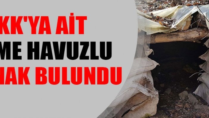 Tunceli'de PKK'nın 'yüzme havuzlu' sığınağı tespit edildi