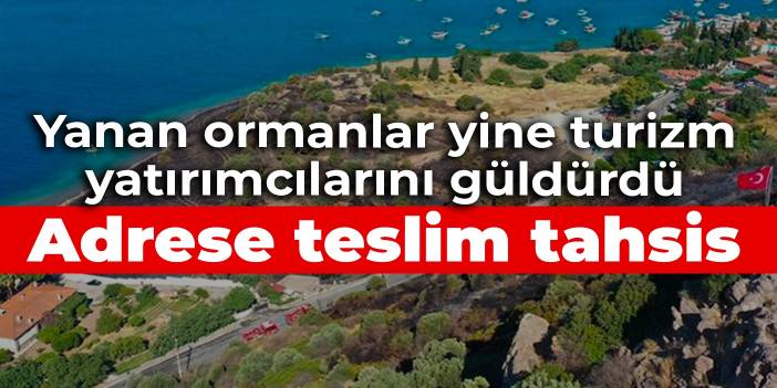 Adrese teslim tahsis! Yanan ormanlar yine turizm yatırımcılarını güldürdü