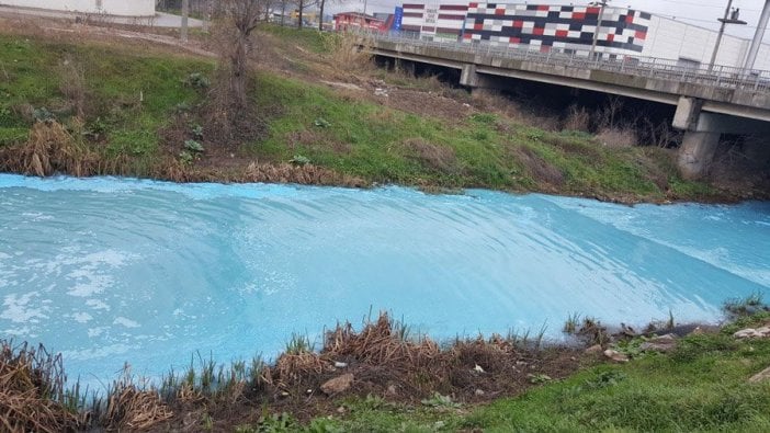 Kocaeli'de renkli su paniği! Atık dökülen derenin rengi turkuaz oldu