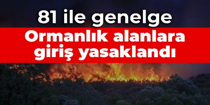 81 ile genelge: Ormanlık alanlara giriş yasaklandı