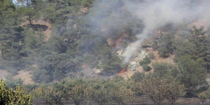 Çanakkale'deki orman yangını kontrol altına alındı