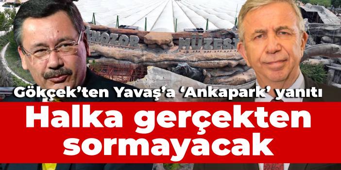 Gökçek'ten Yavaş'a 'Ankapark' yanıtı: Halka gerçekten sormayacak