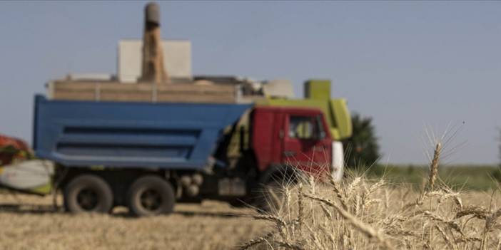 Rusya: Planlanan tahıl hasadına ulaşılamayabilir