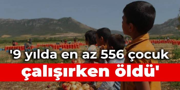 '9 yılda en az 556 çocuk çalışırken öldü'