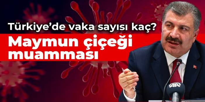 Maymun çiçeği muamması