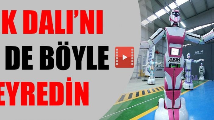 Robot erik dalı oynadı, mangal yaktı, çay demledi