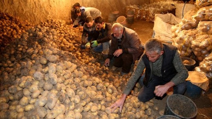 600 bin ton patates depoda kaldı