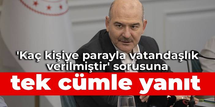 Soylu’dan 'Kaç kişiye parayla vatandaşlık verilmiştir' sorusuna tek cümle yanıt