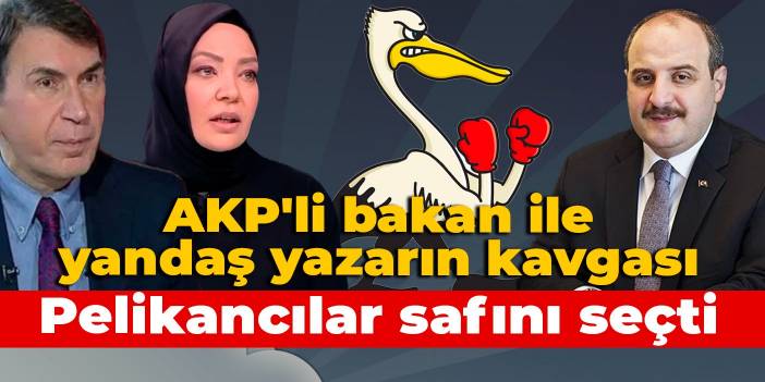 AKP'li Bakan-yandaş yazar kavgası: Pelikancılar safını seçti