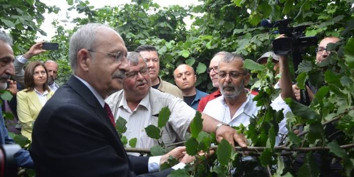 CHP lideri 54 liralık fındık alım fiyatına tepki gösterdi: ‘Bay Kemal’in teklifi 4 dolardı’