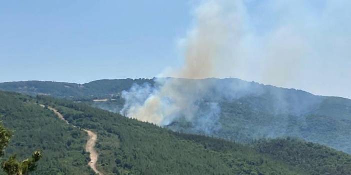 Biga'da orman yangını