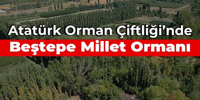 Atatürk Orman Çiftliği’nde Beştepe Millet Ormanı