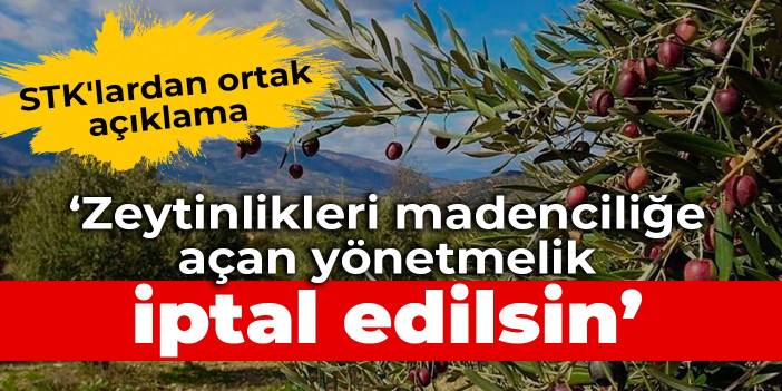 STK'lardan ortak açıklama: Zeytinlikleri madenciliğe açan yönetmelik iptal edilsin