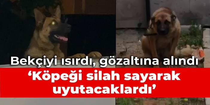 Gençlere biber gazı sıkan bekçiyi ısıran köpek gözaltına alındı