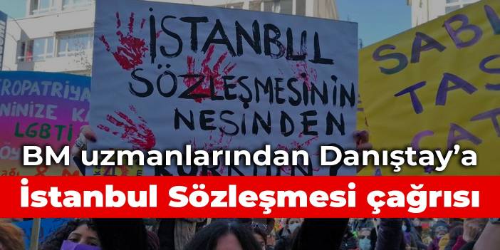 BM uzmanlarından Danıştay’a İstanbul Sözleşmesi çağrısı