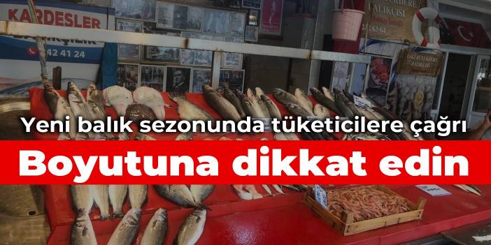 Yeni balık sezonunda tüketicilere çağrı: Boyutuna dikkat edin