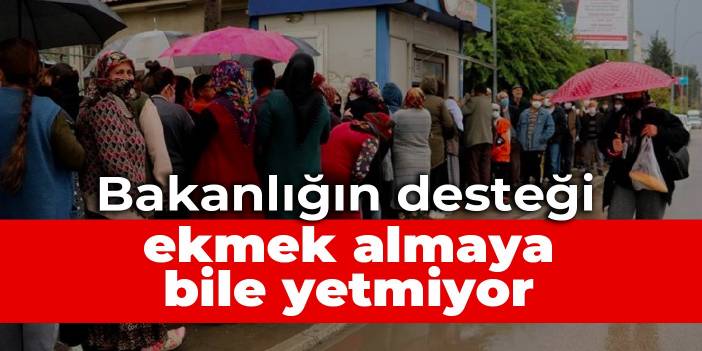 Bakanlığın desteği ekmek almaya bile yetmiyor