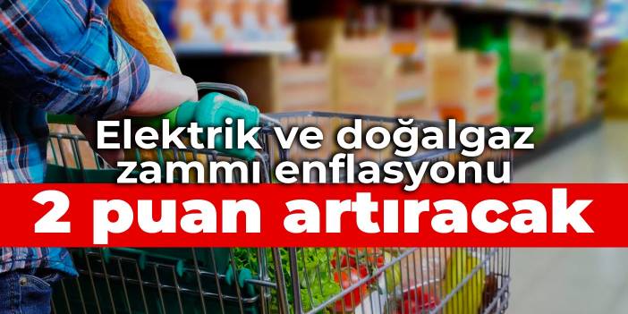 Elektrik ve doğalgaz zammı enflasyonu 2 puan artıracak