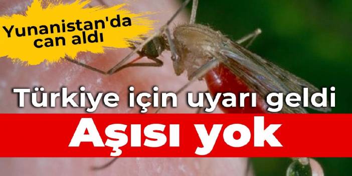 Yunanistan'da can aldı Türkiye için uyarı geldi: Aşısı ve etkili bir antiviral ajan yok