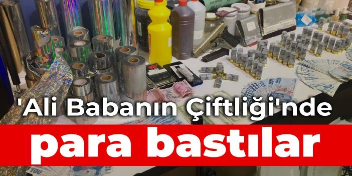 'Ali Babanın Çiftliği'nde para bastılar