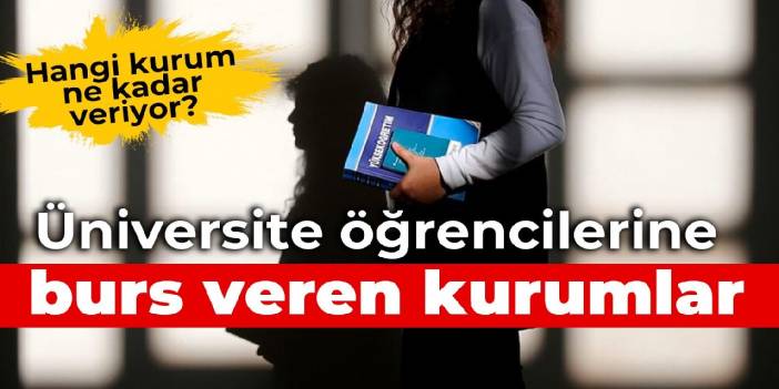 Üniversite öğrencilerine burs veren kurumlar