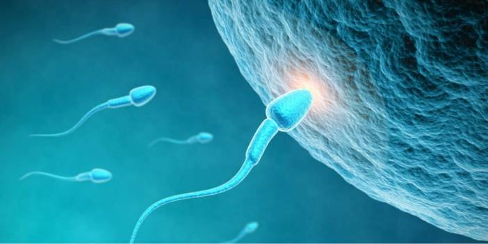 "Eyvah" Dedirten Bir Sonuç: Erkeklerin Sperm Sayısı Yarıya Düştü