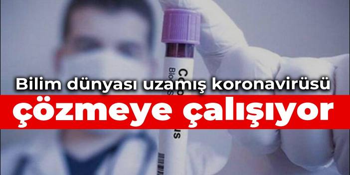 Bilim dünyası uzamış koronavirüsü çözmeye çalışıyor