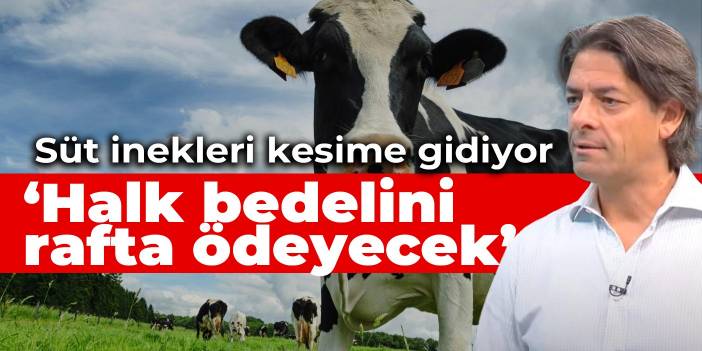 ‘Süt inekleri kesime gidiyor, halk bedelini rafta ödeyecek’