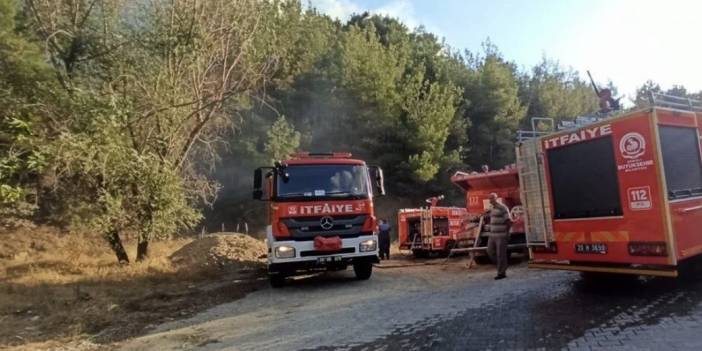 Denizli'de orman yangını çıktı