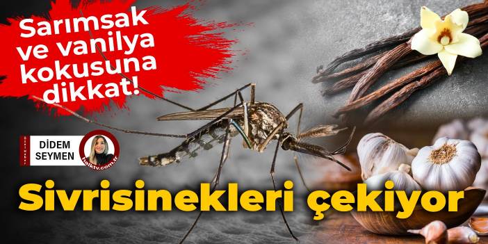 Sarımsak ve vanilya kokusuna dikkat! Sivrisinekleri çekiyor