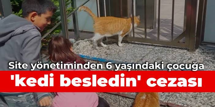 Site yönetiminden 6 yaşındaki çocuğa 'kedi besledin' cezası