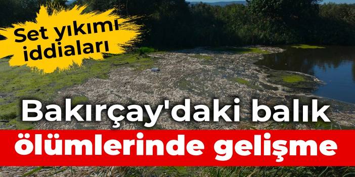 Bakırçay'daki balık ölümlerinde yeni gelişme