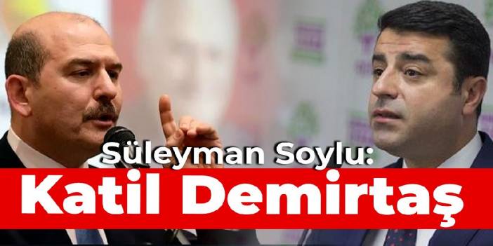 Süleyman Soylu: Katil Demirtaş