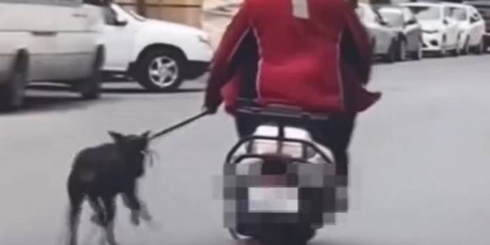 Köpeği motosikletin yanında koşturan kişiye ceza