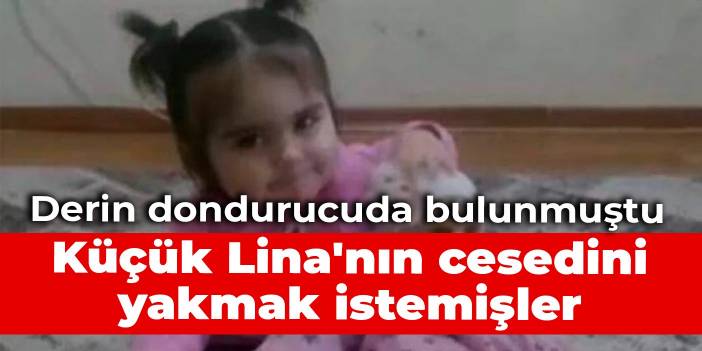 Derin dondurucuda bulunmuştu: Küçük Lina'nın cesedini yakmak istemişler