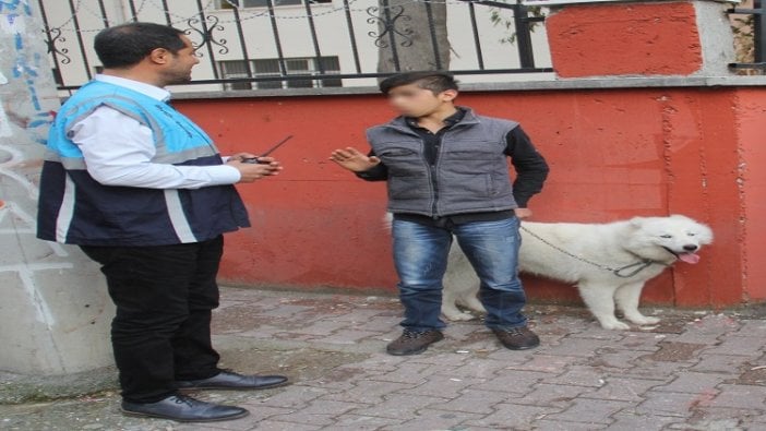 'Barut' ile birlikte karakolluk oldular... Polis, kimliksiz köpeği 'gözaltına' aldı