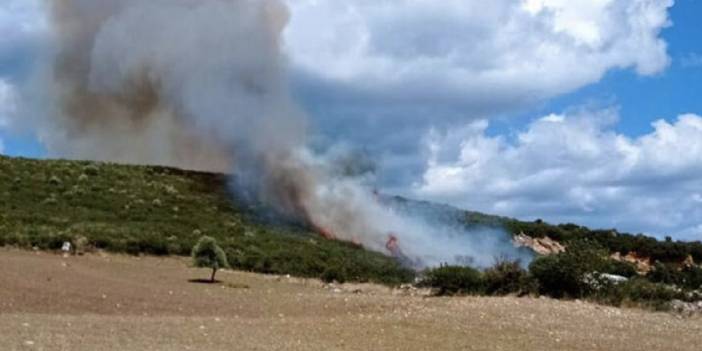 Çanakkale'de orman yangını: Müdahale başladı