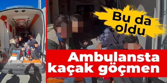 Bu da oldu: Ambulansta kaçak göçmen