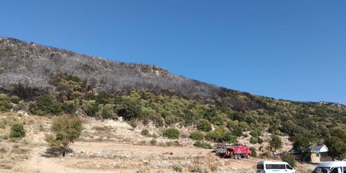 Antalya'da makilik yangınının acı bilançosu